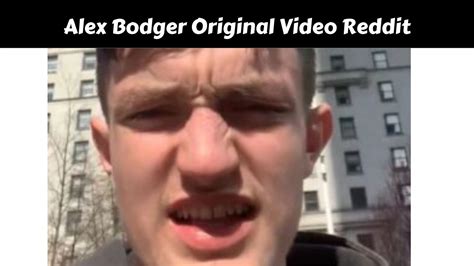 Bodger was interviewed by Global News as a "witness" to the incident. . Alex bodger video reddit